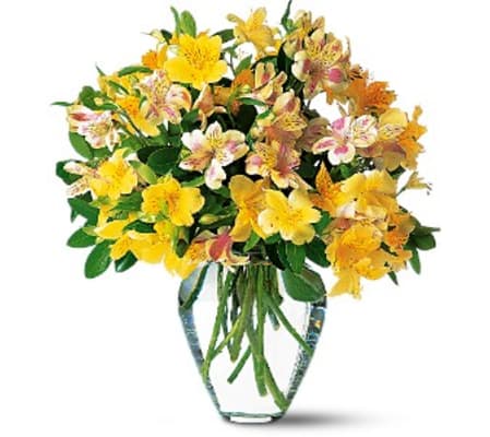 Teleflora Yellow Alstroemeria Vase
