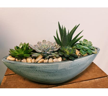 Sky Blue Succulent Planter