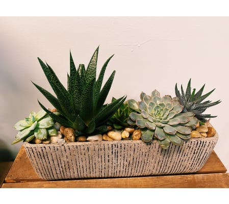 Rectangular Succulent Planter