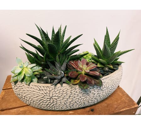Rustic Chic Succulent Planter