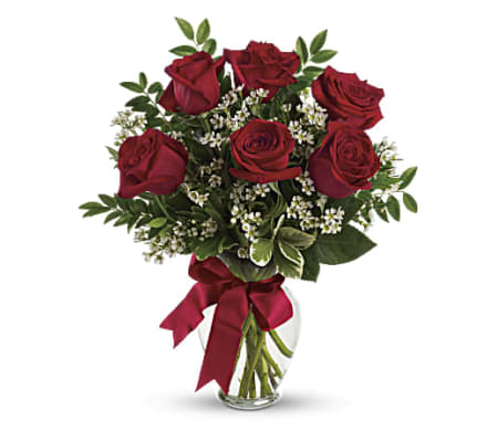Thoughts of You Roses