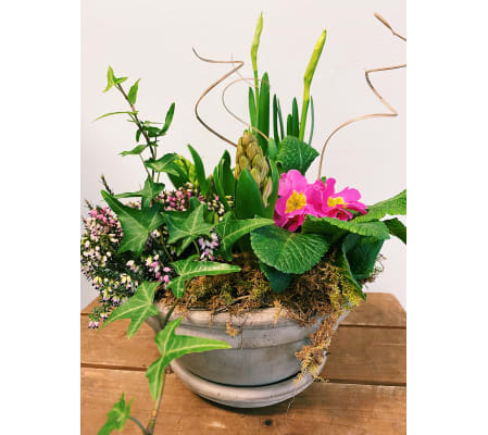Beautiful Blooming Bulb Planter (Small)