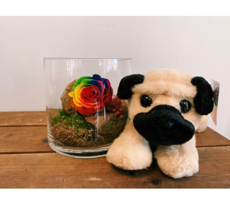 Perfectly Preserved Rose & (Small) Plush Pal Bundle