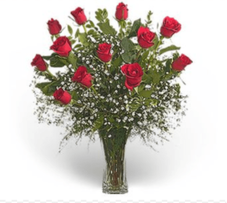 Classic Elegance Dozen Premium Long Stem Red Roses