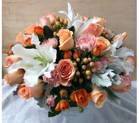 Peach Nicety