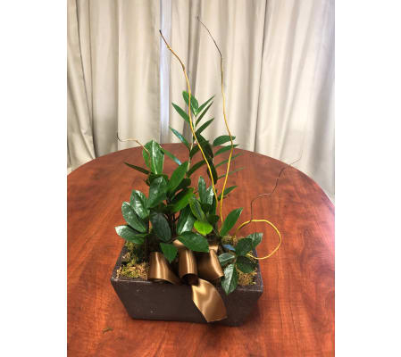 ZZ Planter