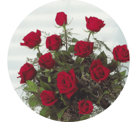 Valentine's Day Red Dozen