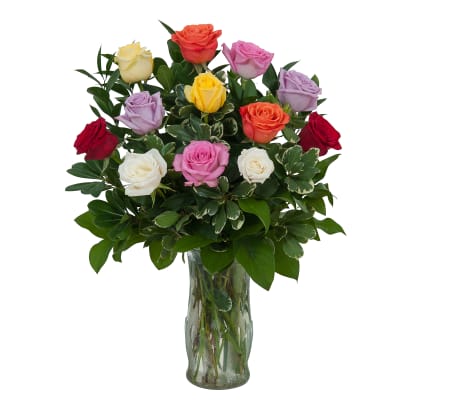 1 Dozen Roses Assorted