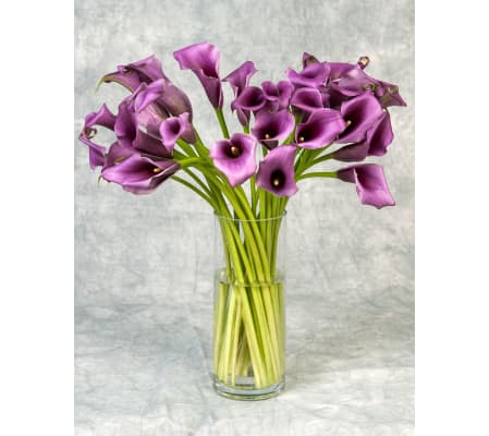 The Violet