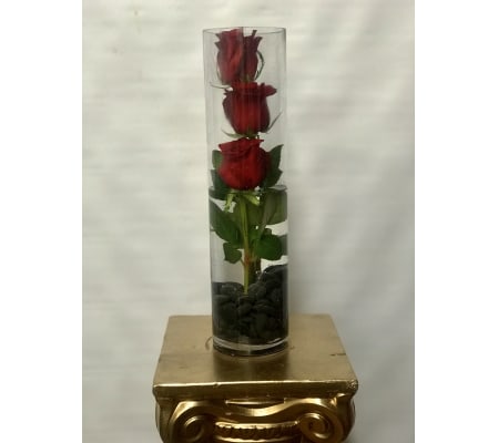 Cylinder Rose Trio