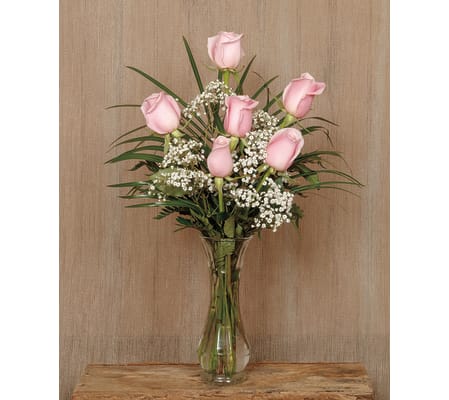 Half Dozen Roses