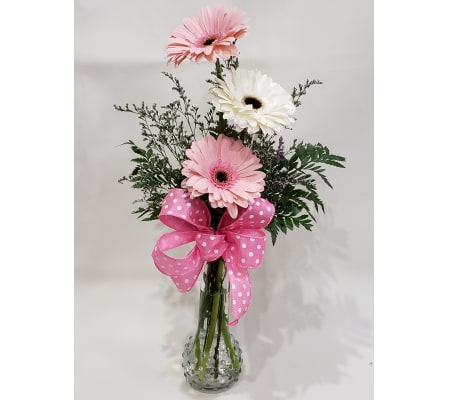 Gerberas in a vase