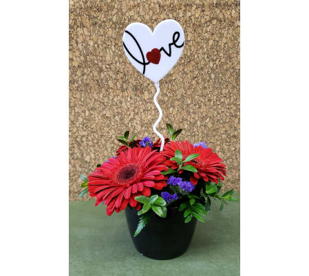 Gerbera's with Love