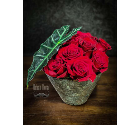 Valentine crush