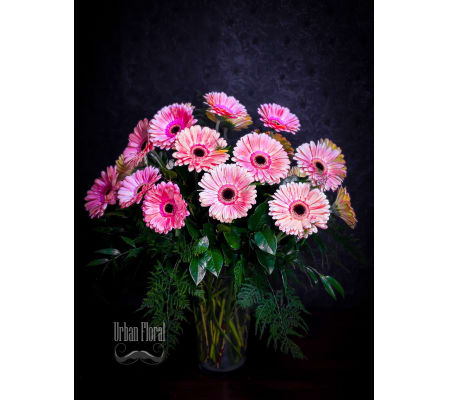 20 pink gerberas in a vase
