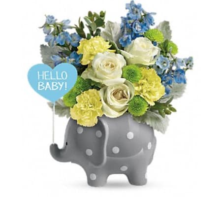 Teleflora's Hello Baby - Blue