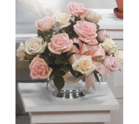 Soft and Tender Roses