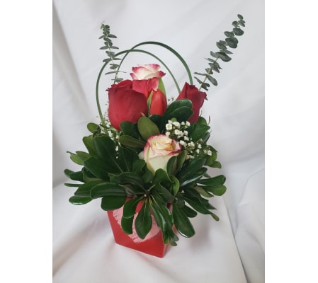 Red & White Cuteness