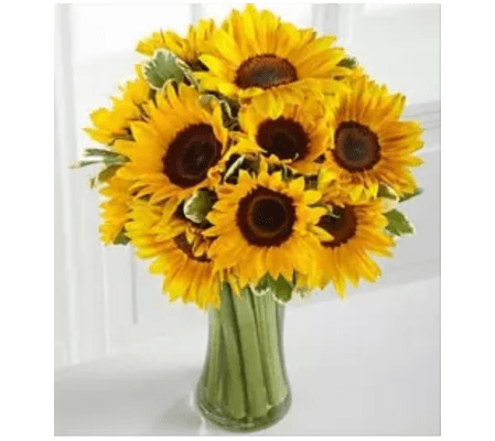 Endless Sunflowers