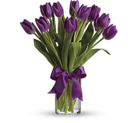 KNOWLES PASSIONATE PURPLE TULIPS