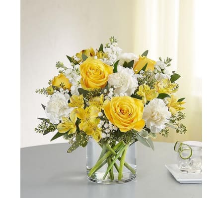 Yellow and White Delight