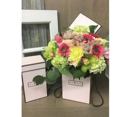 Spring Box