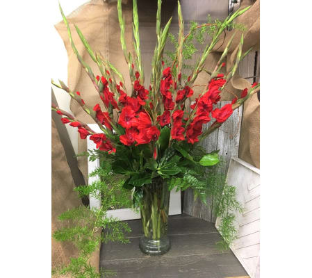 Glamorous Gladiolas