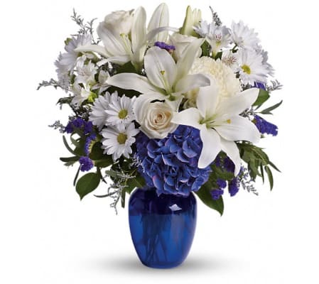 Beautiful In Blu