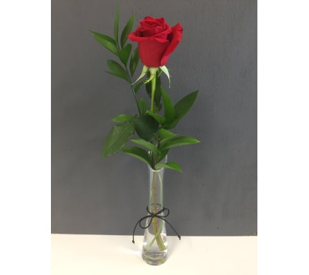 SINGLE RED ROSE IN TALL BUD VASE