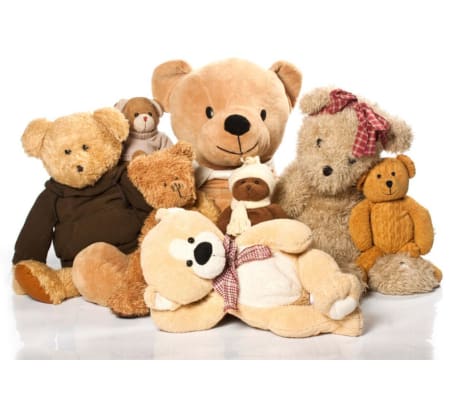 Teddy & Companies