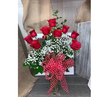 Dozen Red Splendor Roses