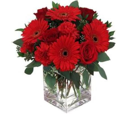 Be My Valentine BF