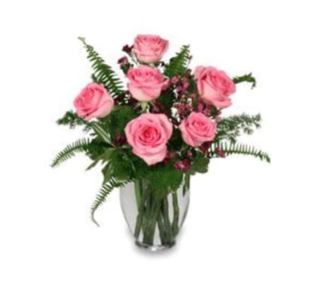 Perfect Pink Roses