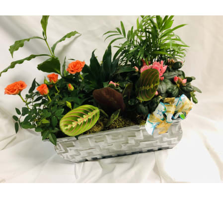 Basket of Friendship