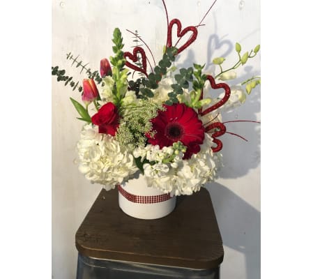 Msf Cupid Heart
