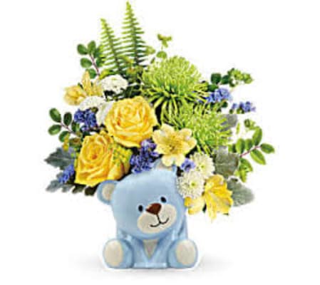 baby boy bundle of joy
