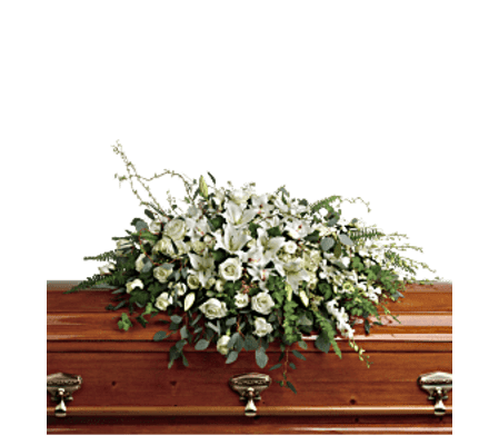 wooden coffin