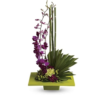 Zen in blooms