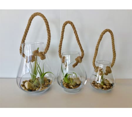 Glass teardrop air plant hanger