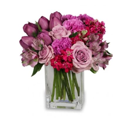 PRECIOUS PURPLES ARRANGEMENT