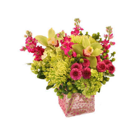 FSN-POLKA DOT POSIES