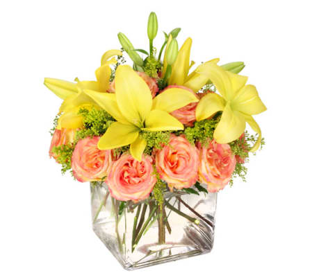 FSN-HAVE A LOVELY DAY!