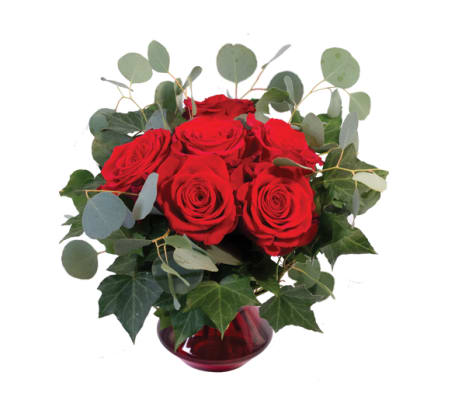 FSN-CRIMSON IVY ROSES
