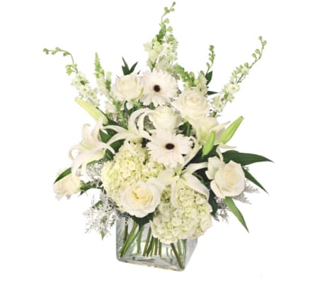 FSN-PURE ELEGANCE VASE