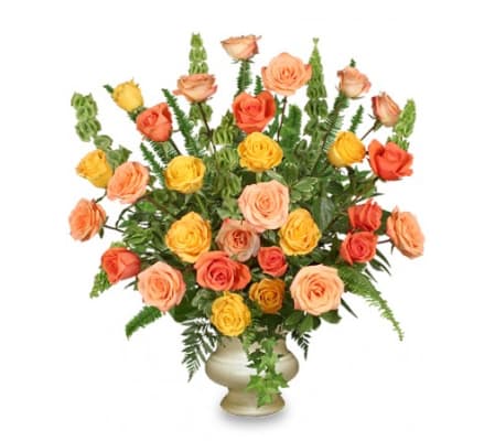 FSN-TIMELESS ROSES