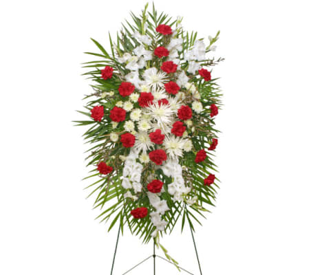 FSN-GRACEFUL RED & WHITE