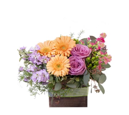 BLOOMING WILD FLORAL DESIGN