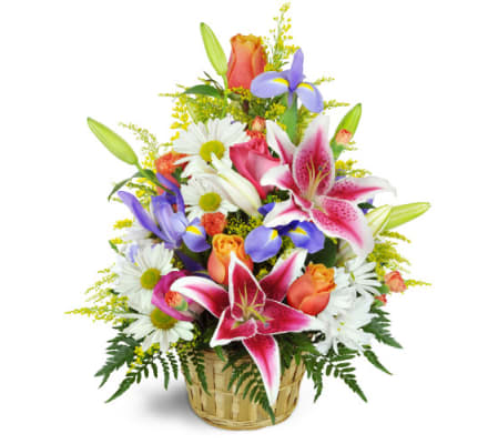 The Stargazer Blessings Basket
