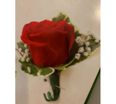 BOUTINEER RED ROSE