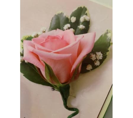 BOUTINEER PINK ROSE